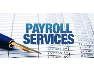 Payroll management & Outsourcing