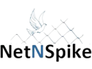Netnspike offers the best Bird Spikes Services in India