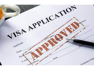 Visa Processing Assistance & Services