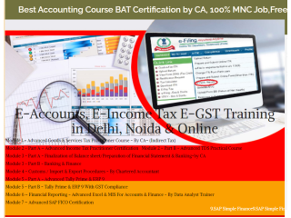 Accounting Course in Delhi 110006 - Get Valid Certification by SLA Consultants Accounting Institute,