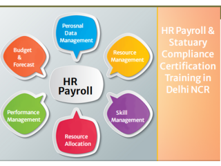 Advanced HR Institute in Delhi, 110019, with Free SAP HCM HR Certification  by SLA Consultants Institute in Delhi, NCR,100% Placement