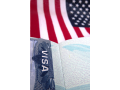 ease-my-visa-small-0